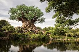 Animal Kingdom